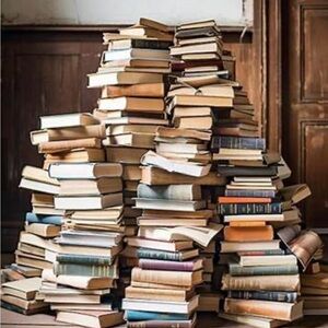 Meet your Posher, Anne